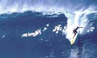 Maestro del mar surf