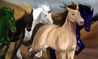 Paardenrennen