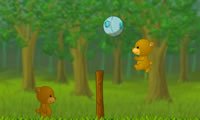Bären spielen volleyball