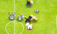 Pet sepak bola