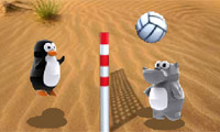Zoo-Volley