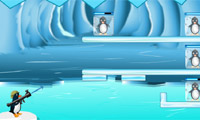 Pinguïn Salvage 2