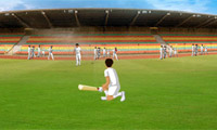 Wicket Keeping Volt UK