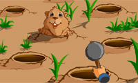 Mendera Groundhog