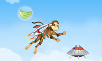 Monyet terbang