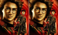 Harry Potter perbedaan
