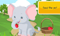 Elefant-Pflege